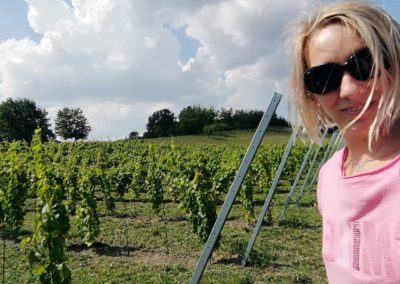 The Rájec Vineyard – Nectar Lucis