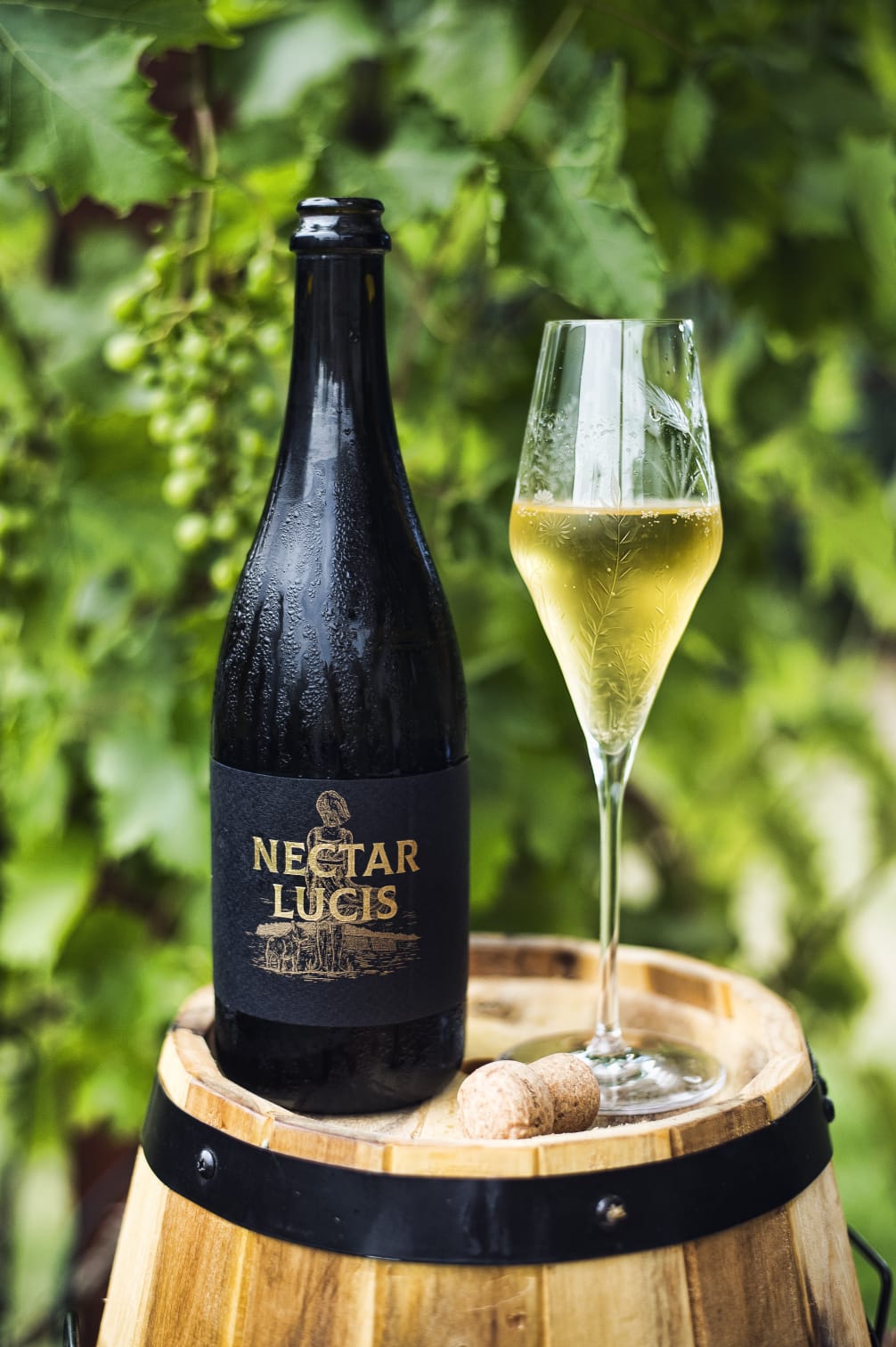 Nectar Sekt Nectar Sekt
