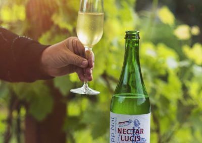 Vinohrad Rájec – Nectar Lucis